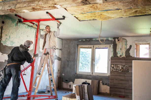 Best Insulation Maintenance and Repair in Addison, TX
